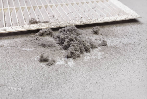 Best Air Duct Mold Removal  in Oak Ridge, NC